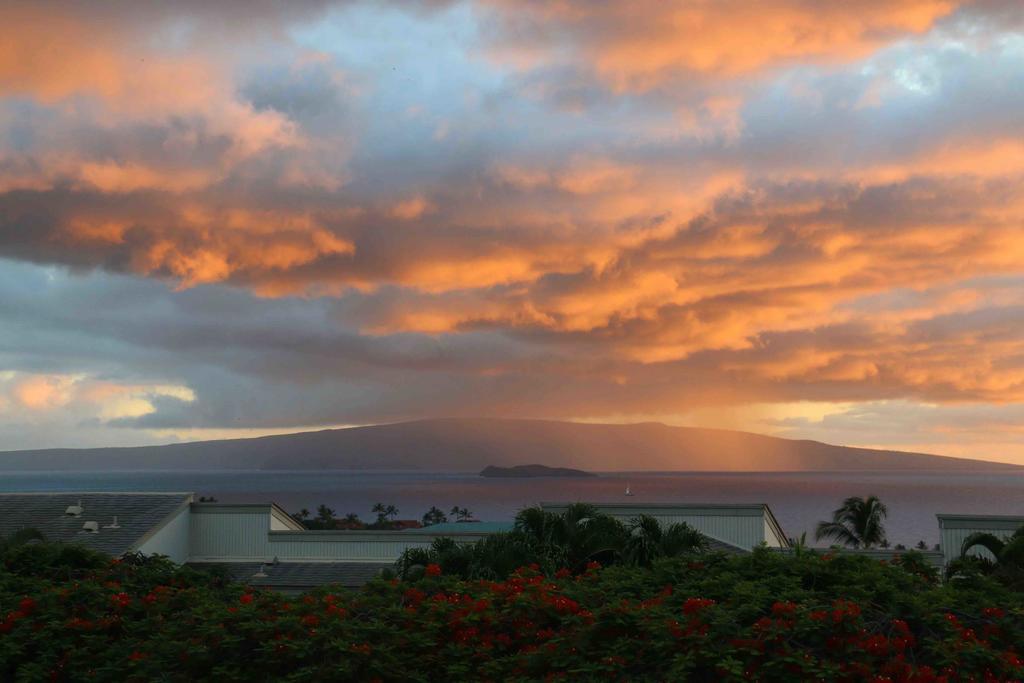 Wailea Sunset Condo - Ekolu #607 المظهر الخارجي الصورة